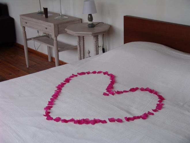 coeur  pétale de rose  Eros